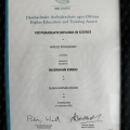 Resmi büyüt: certificate 2
