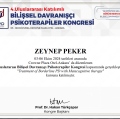 Resmi büyüt: certificate 6