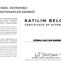 Resmi büyüt: certificate 4