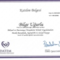 Resmi büyüt: certificate 14