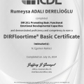 Resmi büyüt: certificate 1