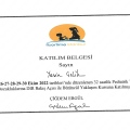 Resmi büyüt: certificate 1