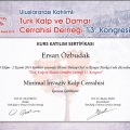 Resmi büyüt: certificate 7