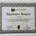 Resmi büyüt: certificate 1