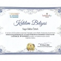 Resmi büyüt: certificate 2