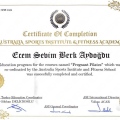 Resmi büyüt: certificate 15