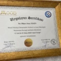 Resmi büyüt: certificate 1