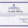 Resmi büyüt: certificate 1