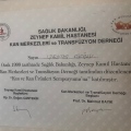 Resmi büyüt: certificate 13