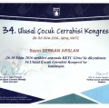 Resmi büyüt: certificate 38
