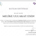 Resmi büyüt: certificate 25