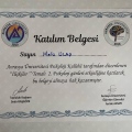 Resmi büyüt: certificate 12