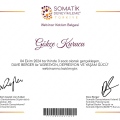 Resmi büyüt: certificate 2