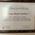 Resmi büyüt: certificate 4
