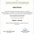 Resmi büyüt: certificate 3