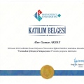 Resmi büyüt: certificate 5