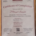 Resmi büyüt: certificate 1