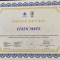 Resmi büyüt: certificate 4