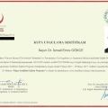 Resmi büyüt: certificate 2