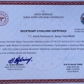 Resmi büyüt: certificate 2
