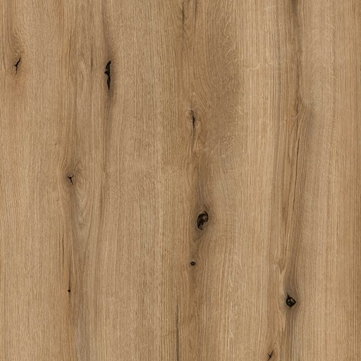 Woodgrain Coast Evoke Oak Slab Replacement Kitchen Door | Slab Woodgrain Coast Evoke Oak Slab Replacement Kitchen Door | Slab