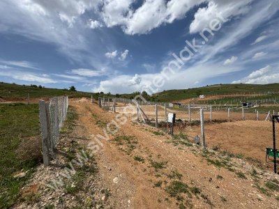 SİVAS GMT EMLAK'TAN İNCEAĞA SATILIK 500 M2 HİSSELİ HOBBY BAHÇESİ