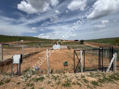 SİVAS GMT EMLAK'TAN İNCEAĞA SATILIK 500 M2 HİSSELİ HOBBY BAHÇESİ