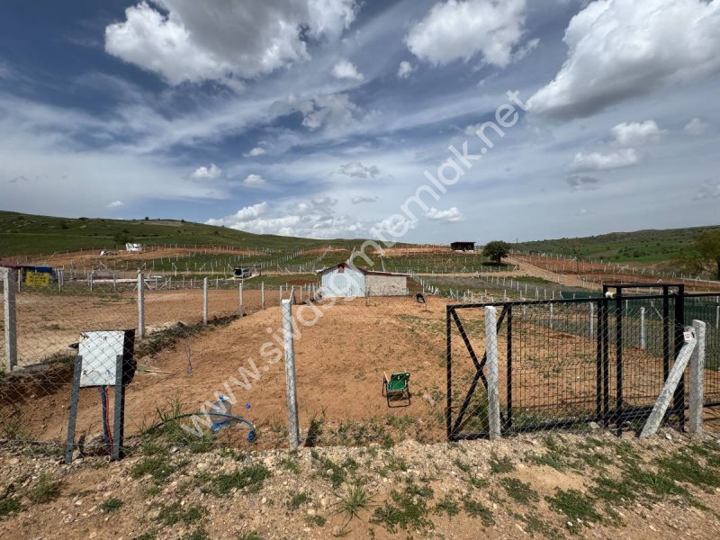 SİVAS GMT EMLAK'TAN İNCEAĞA SATILIK 500 M2 HİSSELİ HOBBY BAHÇESİ