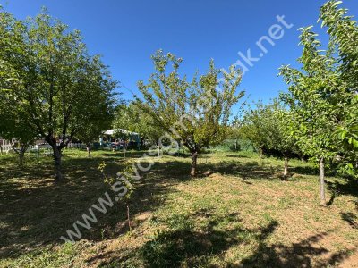 SİVAS GMT EMLAK'TAN ÇAYBOYUNDA SATLIK 1000M2 HAZIR BAHÇELİ VİLLA