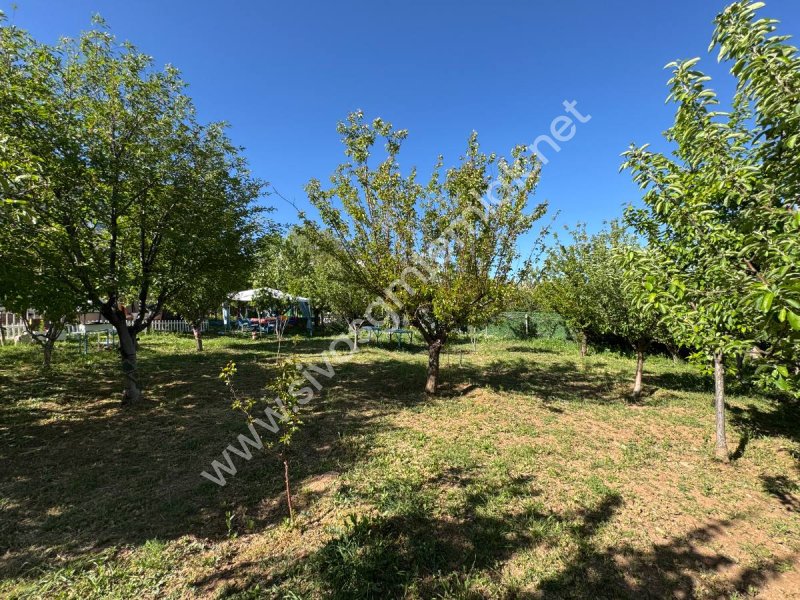 SİVAS GMT EMLAK'TAN ÇAYBOYUNDA SATLIK 1000M2 HAZIR BAHÇELİ VİLLA