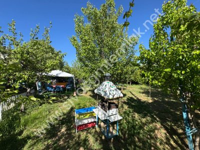 SİVAS GMT EMLAK'TAN ÇAYBOYUNDA SATLIK 1000M2 HAZIR BAHÇELİ VİLLA