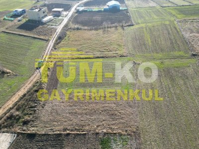 Pınarhisar Sütlüce'de satılık İmarlı arsa
