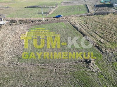 Pınarhisar Sütlüce'de satılık İmarlı arsa
