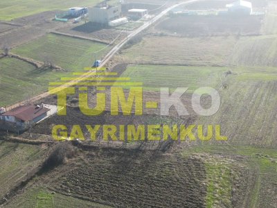 Pınarhisar Sütlüce'de satılık İmarlı arsa