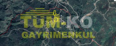Düzce Akçakoca - Balatlı köyünde Arsa Fiyatına Müstakil Ev. ACİL !!!