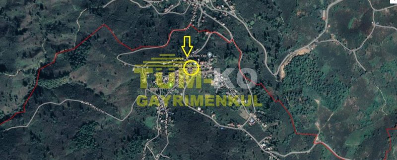Düzce Akçakoca - Balatlı köyünde Arsa Fiyatına Müstakil Ev. ACİL !!!