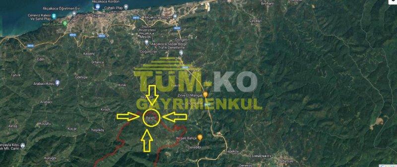 Düzce Akçakoca - Balatlı köyünde Arsa Fiyatına Müstakil Ev. ACİL !!!