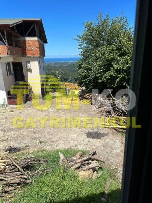 Düzce Akçakoca - Balatlı köyünde Arsa Fiyatına Müstakil Ev. ACİL !!!