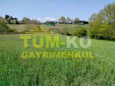 Silivri Sayalar mahallesinde yerleşime yakın arazi