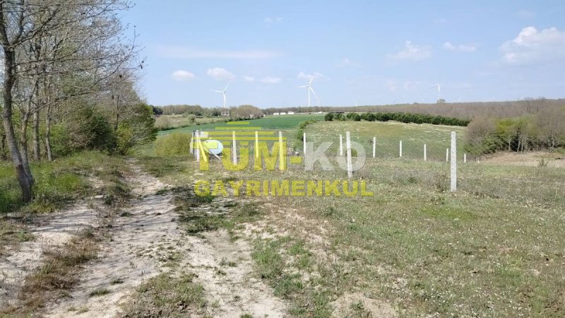 Silivri Sayalar mahallesinde yerleşime yakın arazi