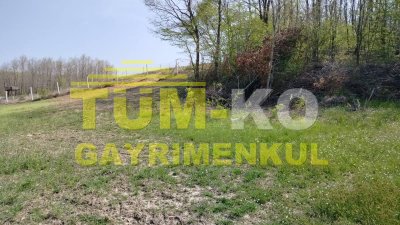Silivri Sayalar mahallesinde yerleşime yakın arazi