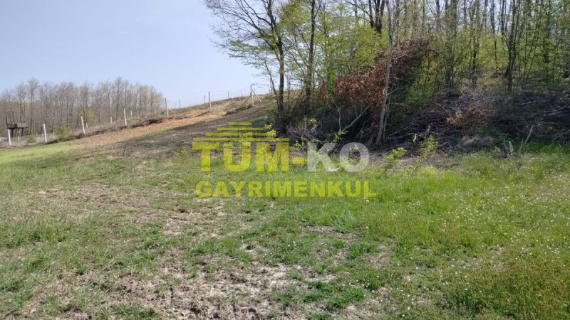 Silivri Sayalar mahallesinde yerleşime yakın arazi
