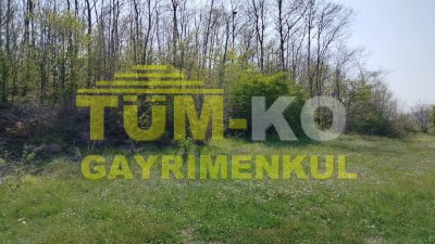 Silivri Sayalar mahallesinde yerleşime yakın arazi