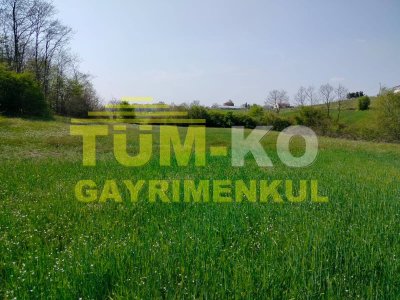 Silivri Sayalar mahallesinde yerleşime yakın arazi