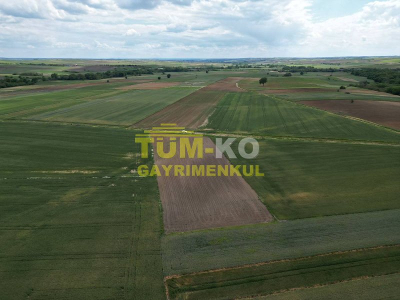 Edirne Havsa Taptık Köyünde Yatırımlık Arazi