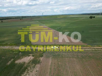 Edirne Havsa Taptık Köyünde Yatırımlık Arazi