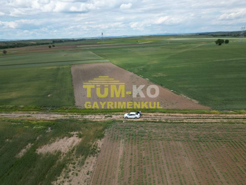 Edirne Havsa Taptık Köyünde Yatırımlık Arazi