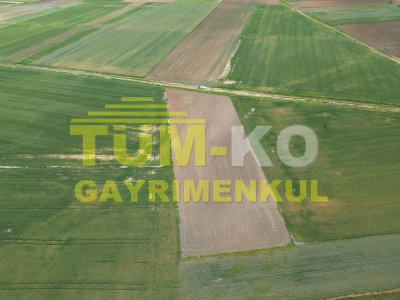 Edirne Havsa Taptık Köyünde Yatırımlık Arazi
