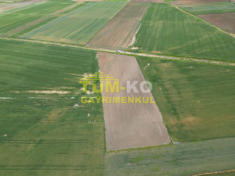 Edirne Havsa Taptık Köyünde Yatırımlık Arazi