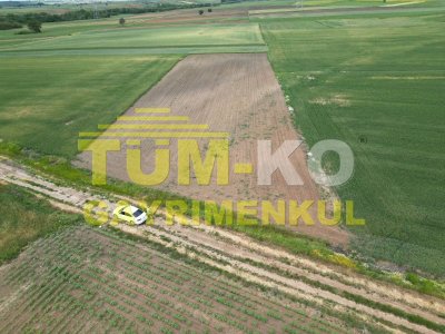 Edirne Havsa Taptık Köyünde Yatırımlık Arazi